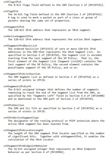 SRv6 IPFIX Flow Monitoring with RFC9487